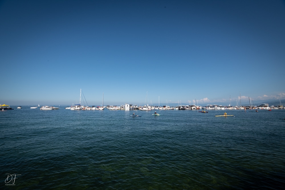 summerdays21-8 summerdays21-8