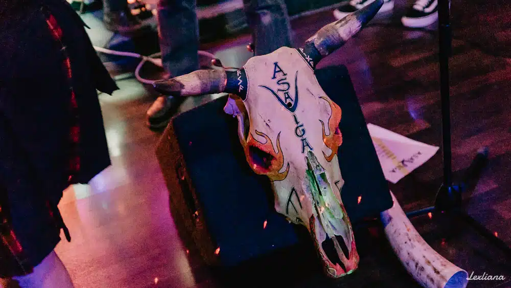 AR_Asaviga1 AR_Asaviga1