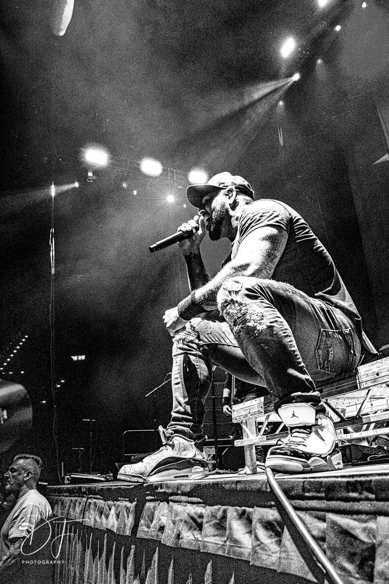 badwolves@hallenstadion-20-8 badwolves@hallenstadion-20-8