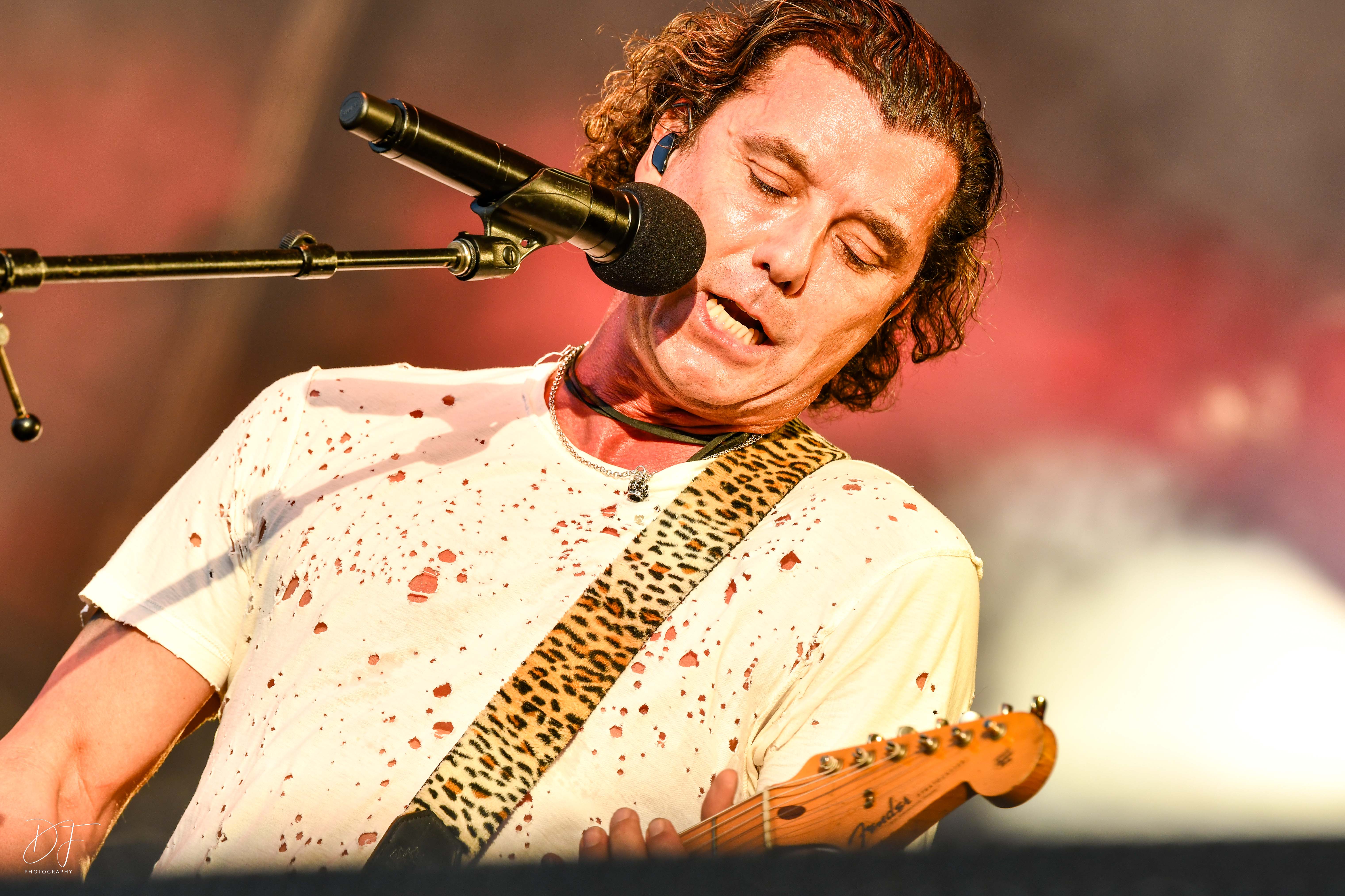 bush@rockthering22-22 bush@rockthering22-22