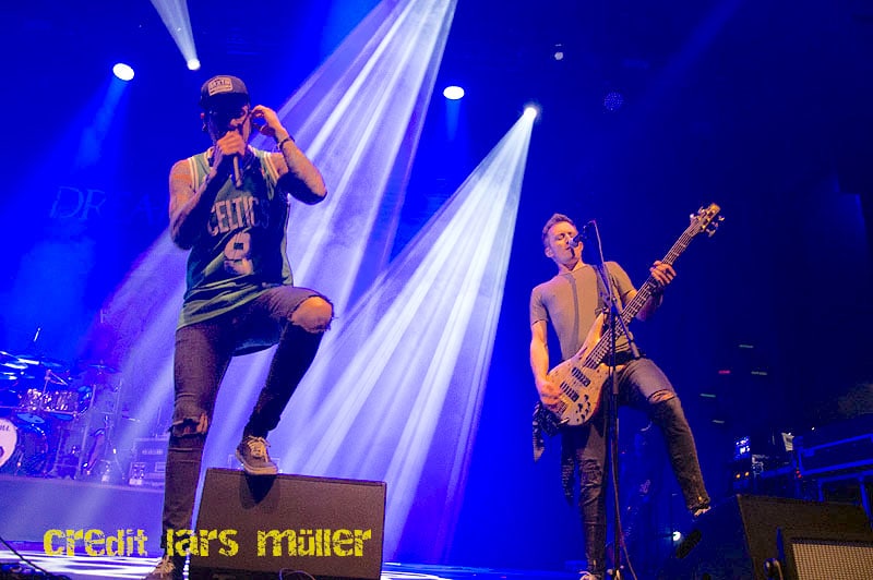 dreamshade@elu-1702 dreamshade@elu-1702