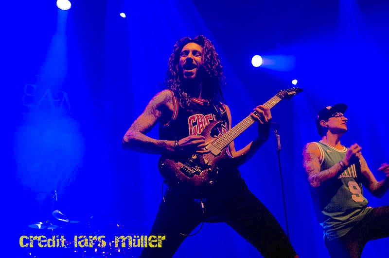 dreamshade@elu-1703 dreamshade@elu-1703