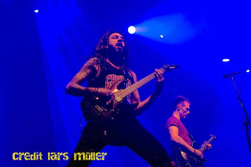 dreamshade@elu-1704 dreamshade@elu-1704