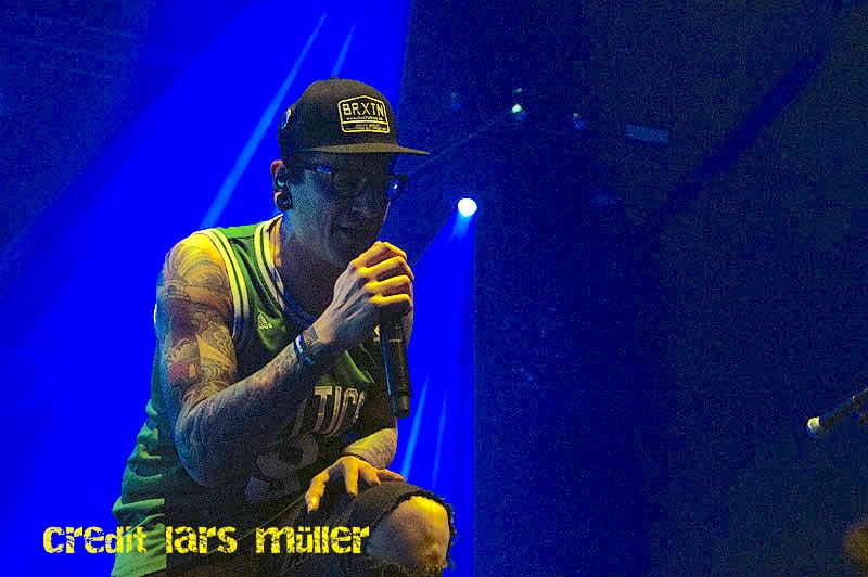 dreamshade@elu-1705 dreamshade@elu-1705