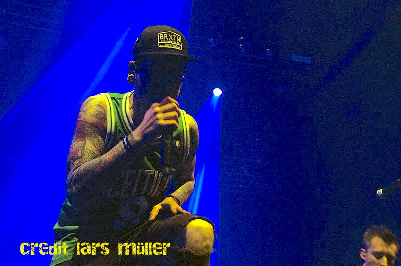 dreamshade@elu-1706 dreamshade@elu-1706