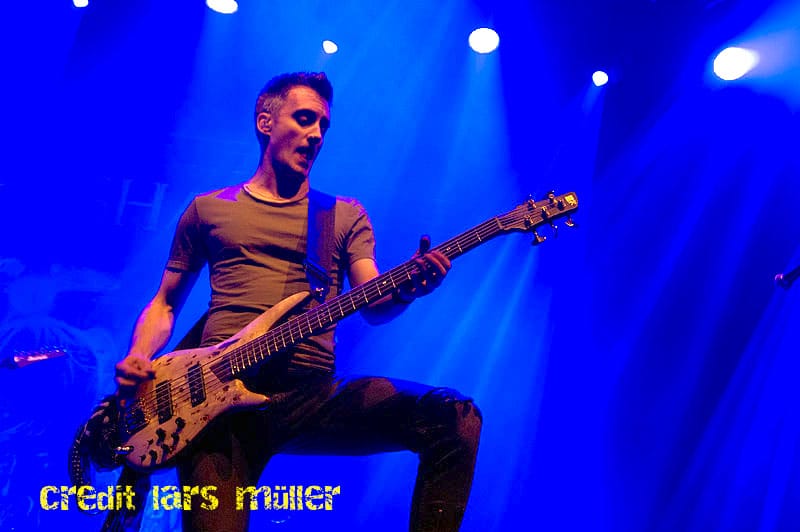 dreamshade@elu-1707 dreamshade@elu-1707