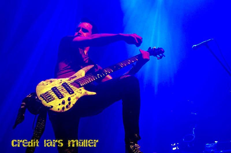 dreamshade@elu-1710 dreamshade@elu-1710