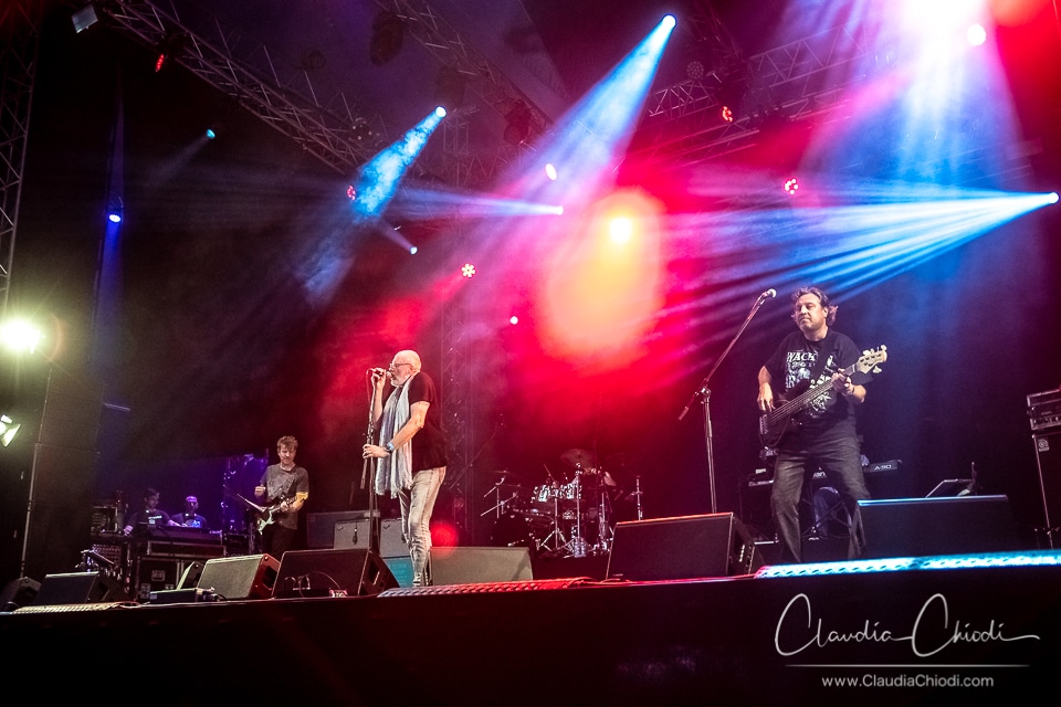 201807801-Fish-Claudia_Chiodi-8 201807801-Fish-Claudia_Chiodi-8