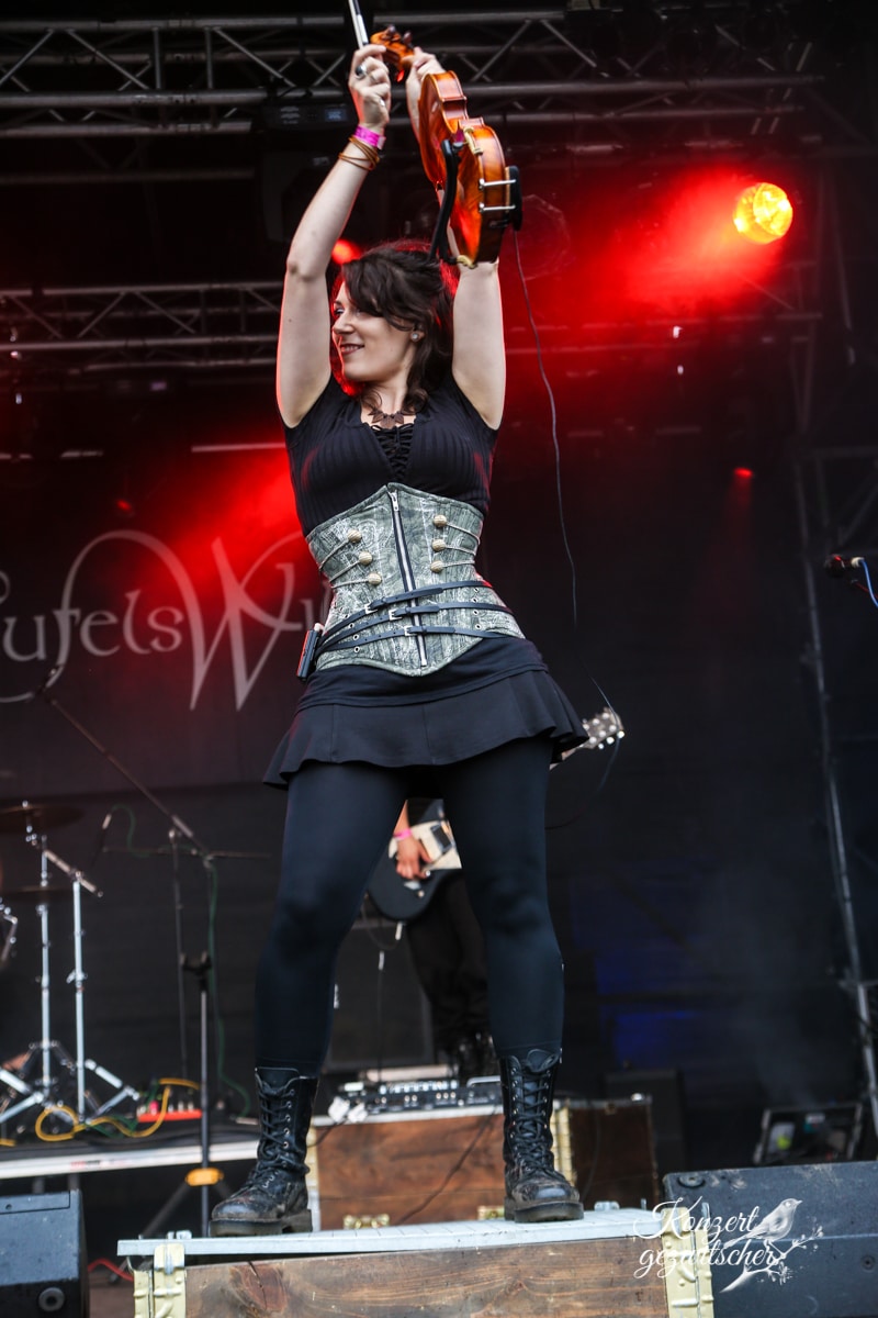 Fuchsteufelswild (1 von 32) Fuchsteufelswild (1 von 32)