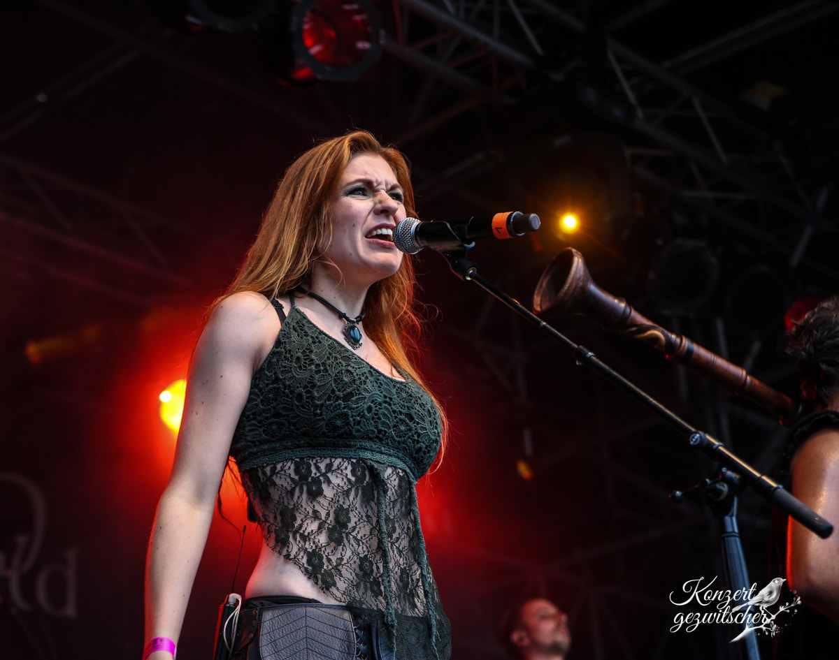 Fuchsteufelswild (11 von 32) Fuchsteufelswild (11 von 32)