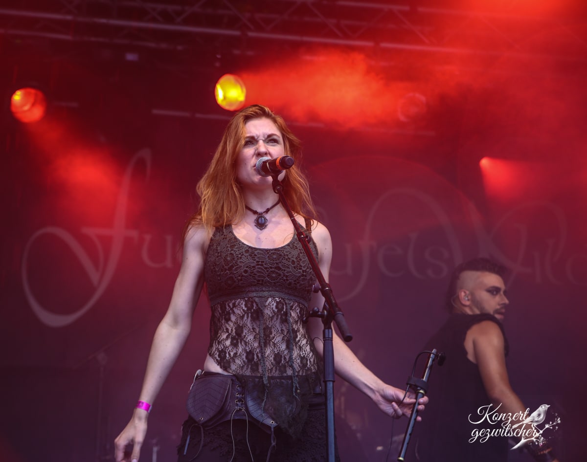 Fuchsteufelswild (15 von 32) Fuchsteufelswild (15 von 32)