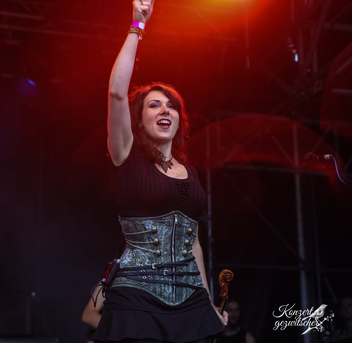 Fuchsteufelswild (17 von 32) Fuchsteufelswild (17 von 32)