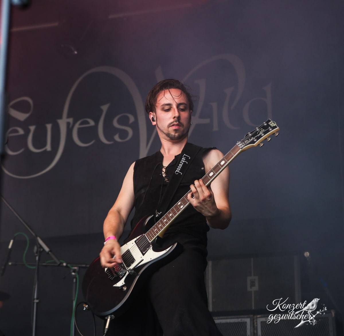 Fuchsteufelswild (22 von 32) Fuchsteufelswild (22 von 32)