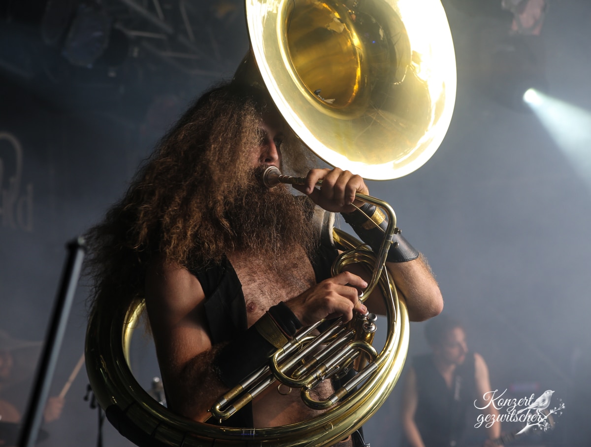 Fuchsteufelswild (23 von 32) Fuchsteufelswild (23 von 32)