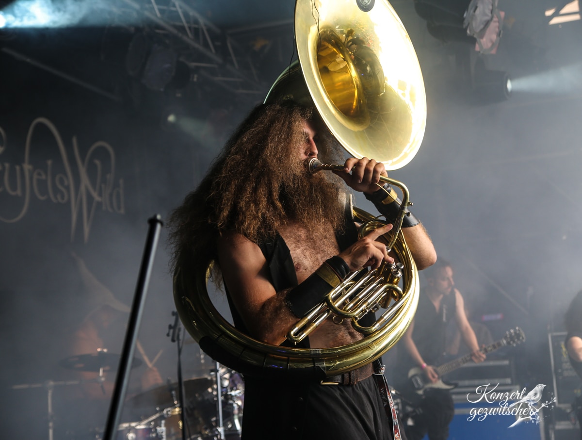 Fuchsteufelswild (24 von 32) Fuchsteufelswild (24 von 32)