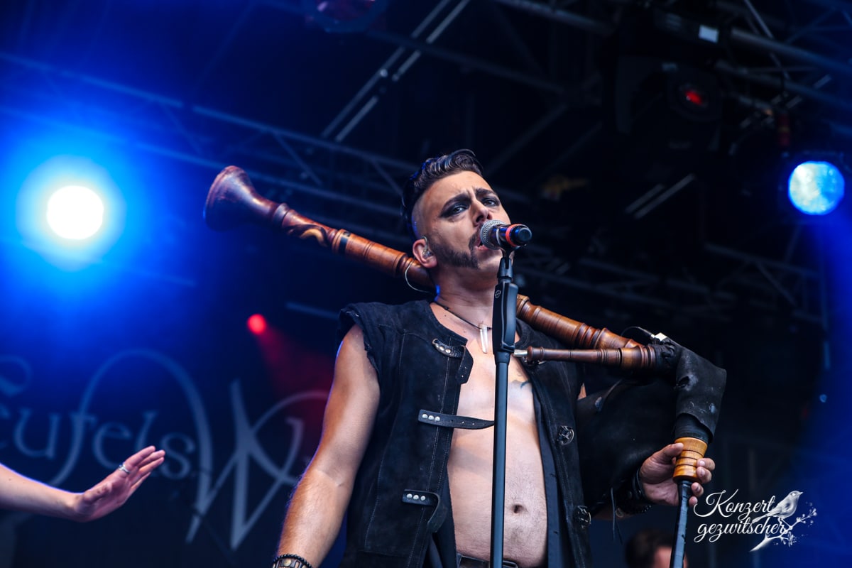 Fuchsteufelswild (3 von 32) Fuchsteufelswild (3 von 32)