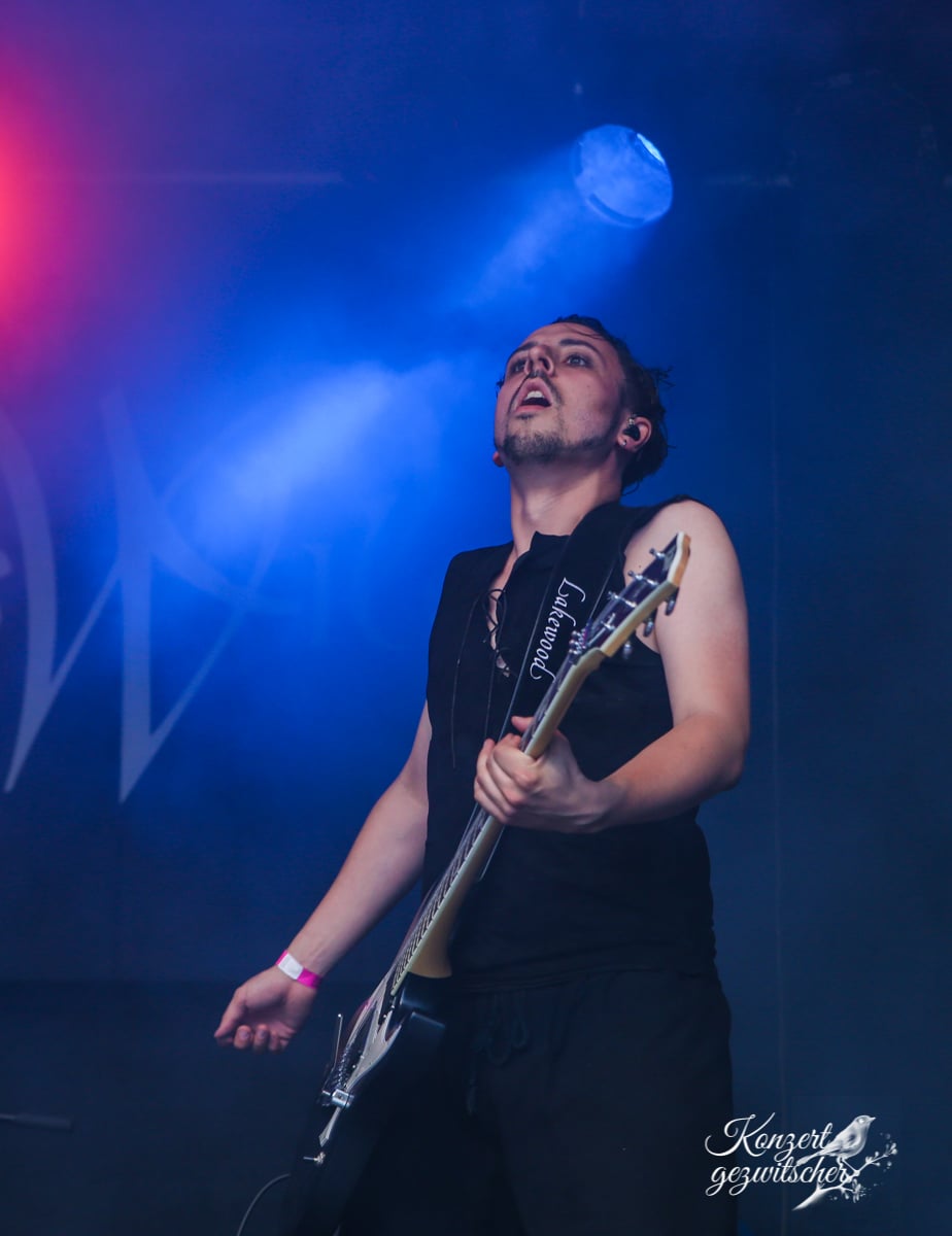 Fuchsteufelswild (4 von 32) Fuchsteufelswild (4 von 32)