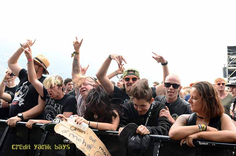 greenfield-impressionen-quer1-1809 greenfield-impressionen-quer1-1809