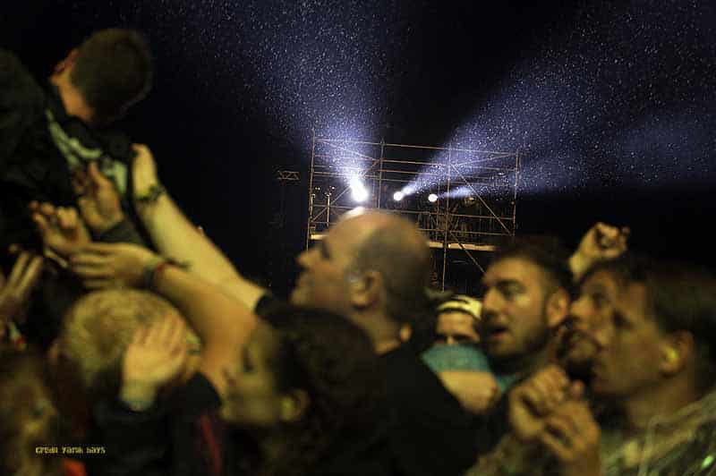 greenfield-impressionen-quer1-1835 greenfield-impressionen-quer1-1835