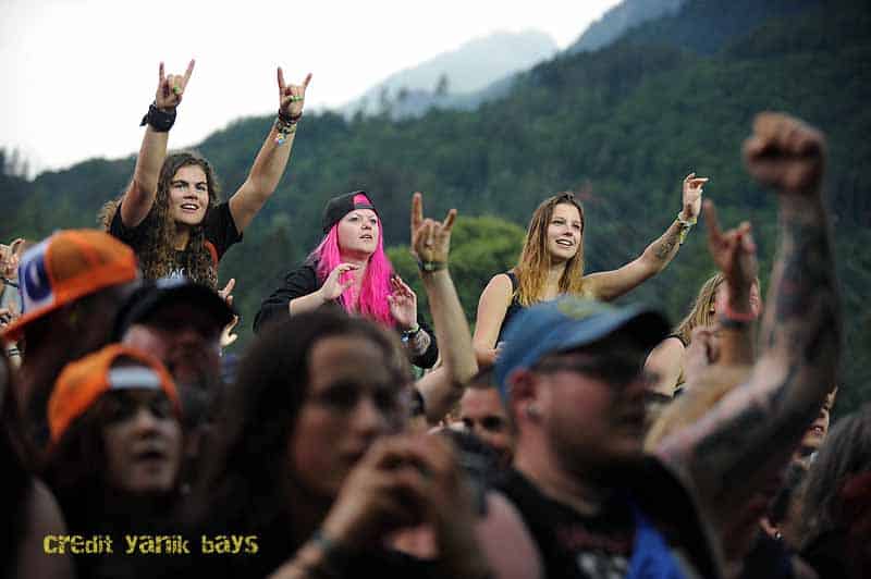 greenfield-impressionen-quer1-1838 greenfield-impressionen-quer1-1838