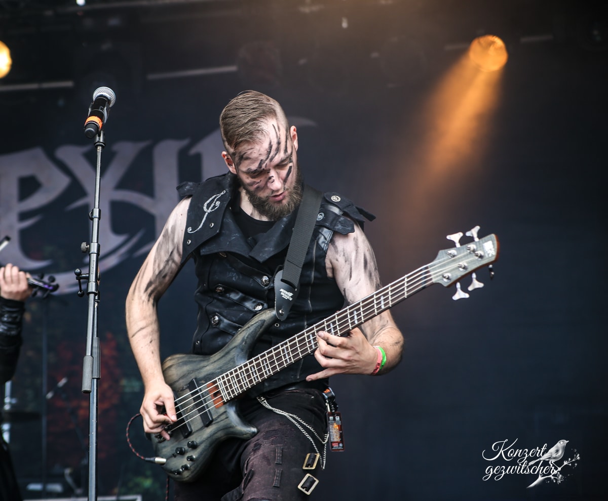 Harpyie (11 von 26) Harpyie (11 von 26)