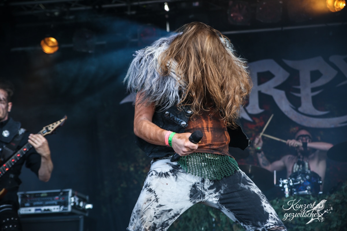 Harpyie (15 von 26) Harpyie (15 von 26)