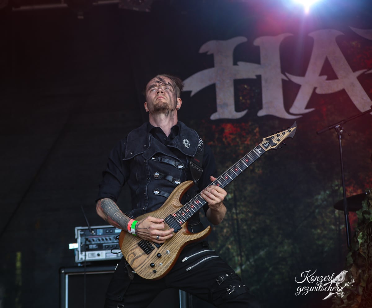 Harpyie (18 von 26) Harpyie (18 von 26)