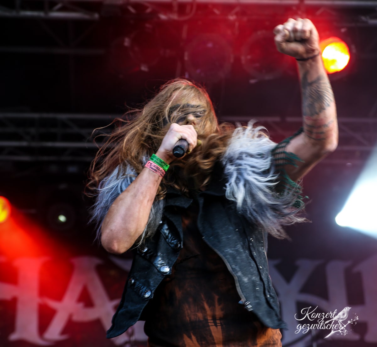 Harpyie (22 von 26) Harpyie (22 von 26)