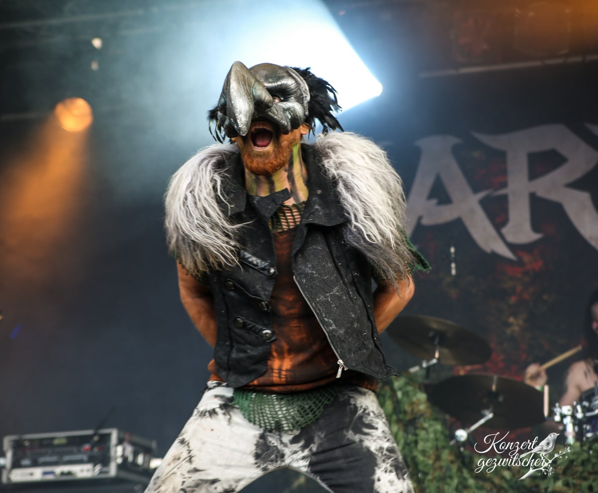 Harpyie (4 von 26) Harpyie (4 von 26)