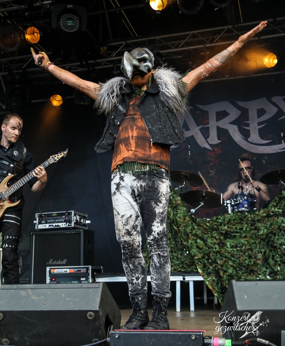 Harpyie (5 von 26) Harpyie (5 von 26)