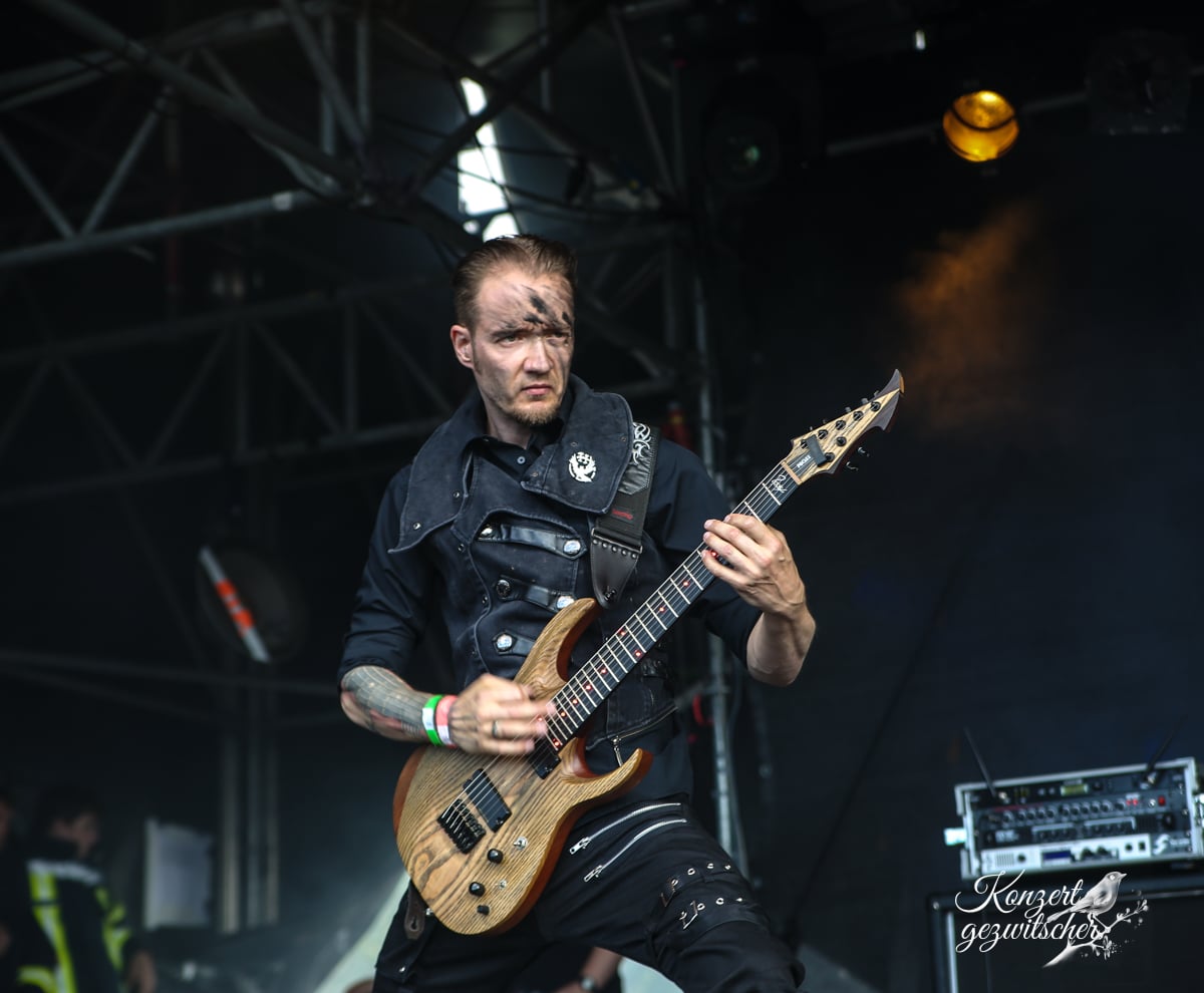 Harpyie (8 von 26) Harpyie (8 von 26)