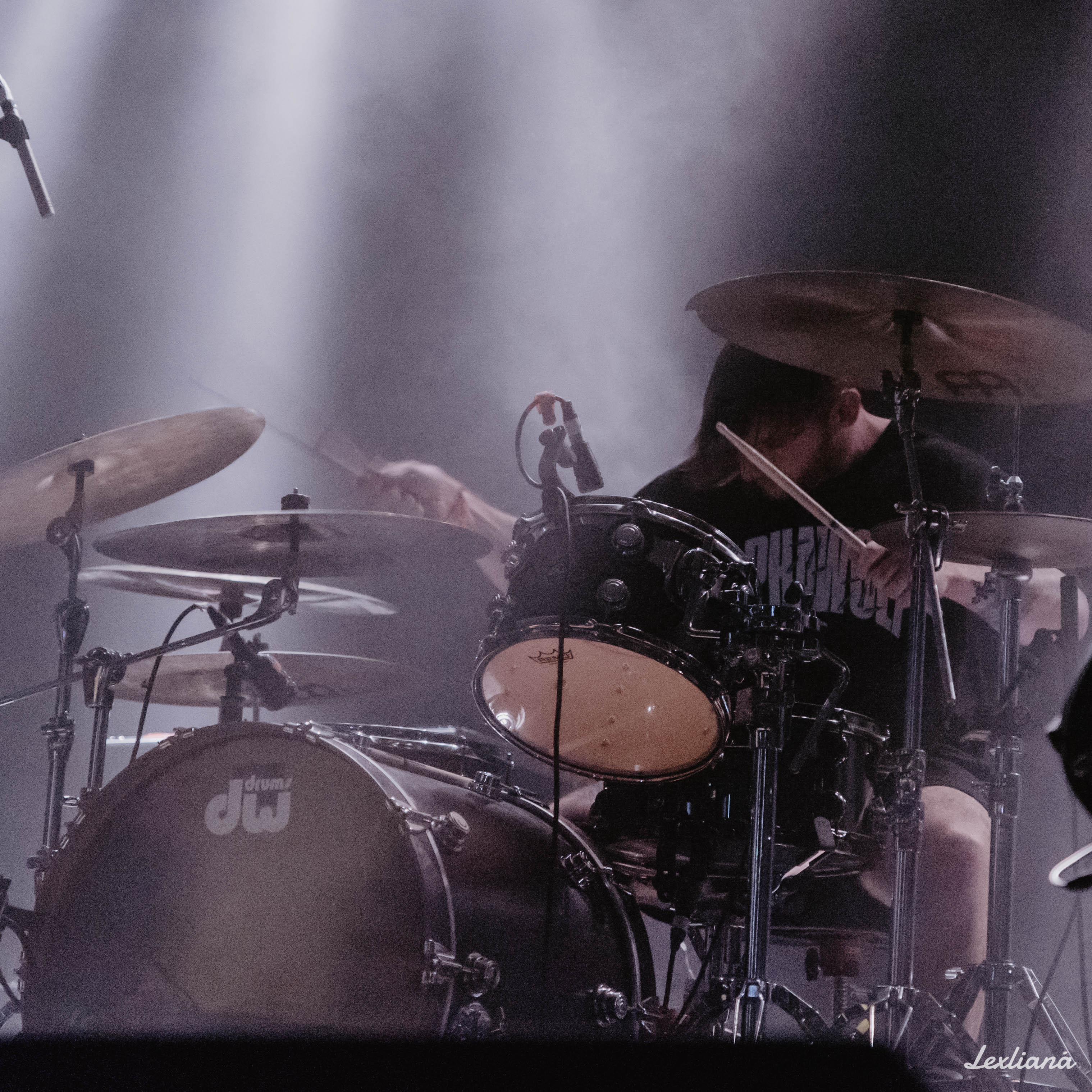 AR_Alpha_Wolf7 AR_Alpha_Wolf7