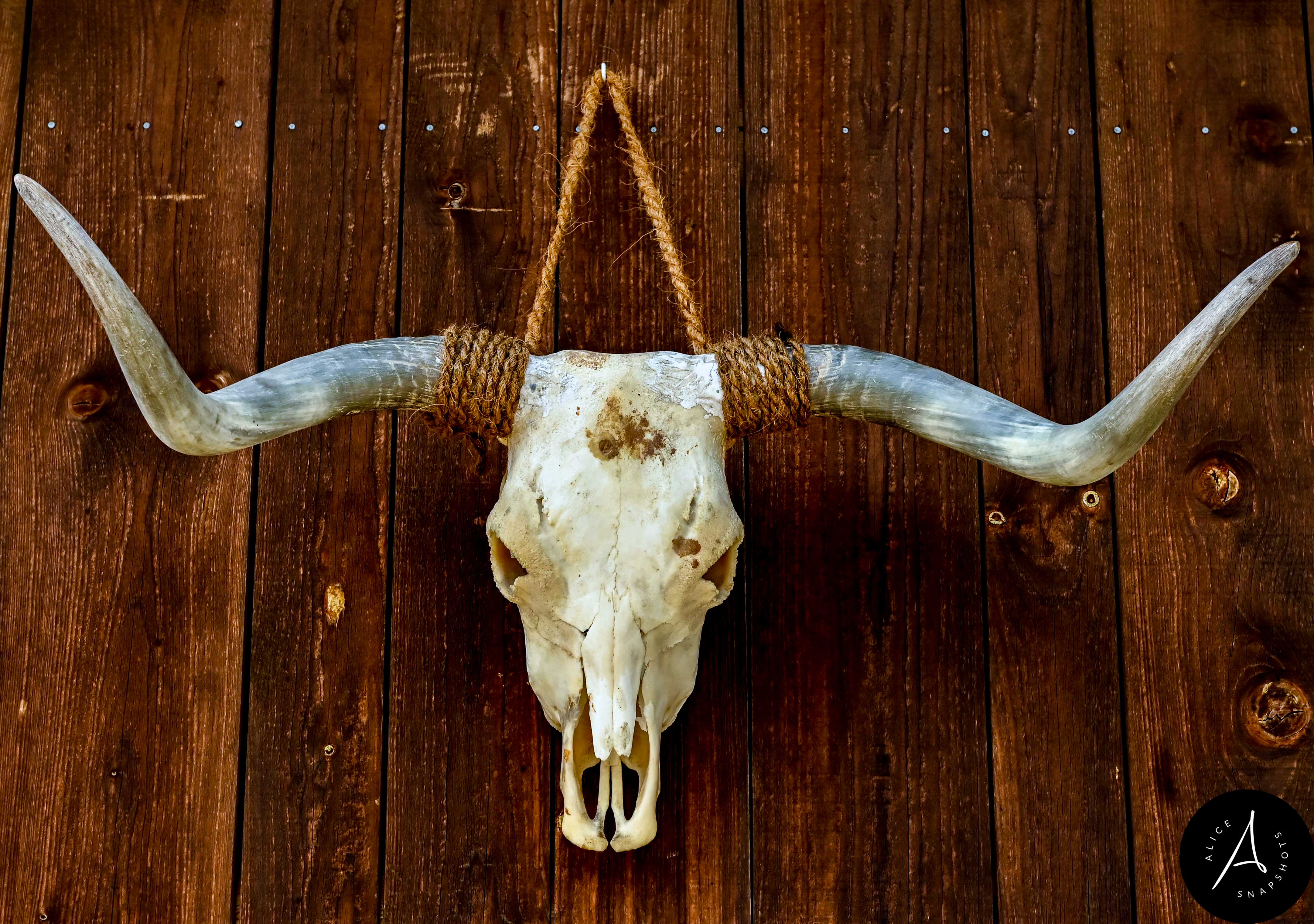 Bleiche Session Rock Out Bleiche Session Rock Out