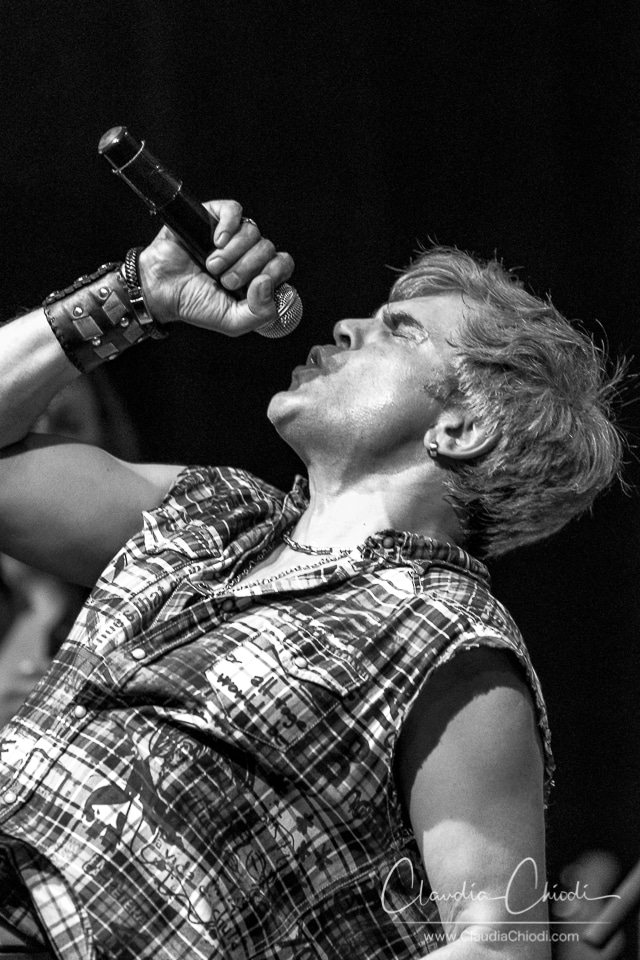 20180526-King_Zebra-Claudia_Chiodi-6 20180526-King_Zebra-Claudia_Chiodi-6