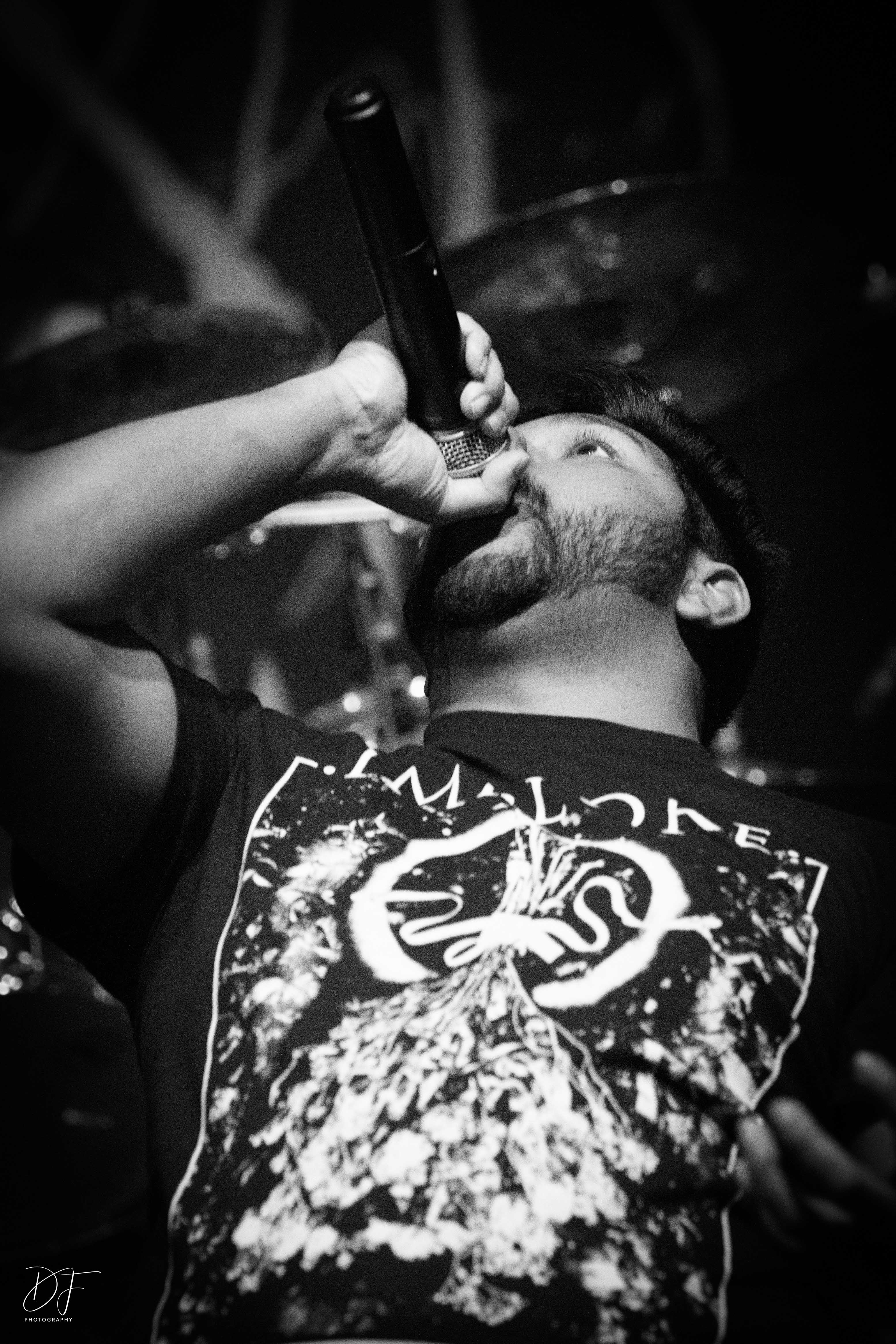 nihilo@attacknow22-19 nihilo@attacknow22-19