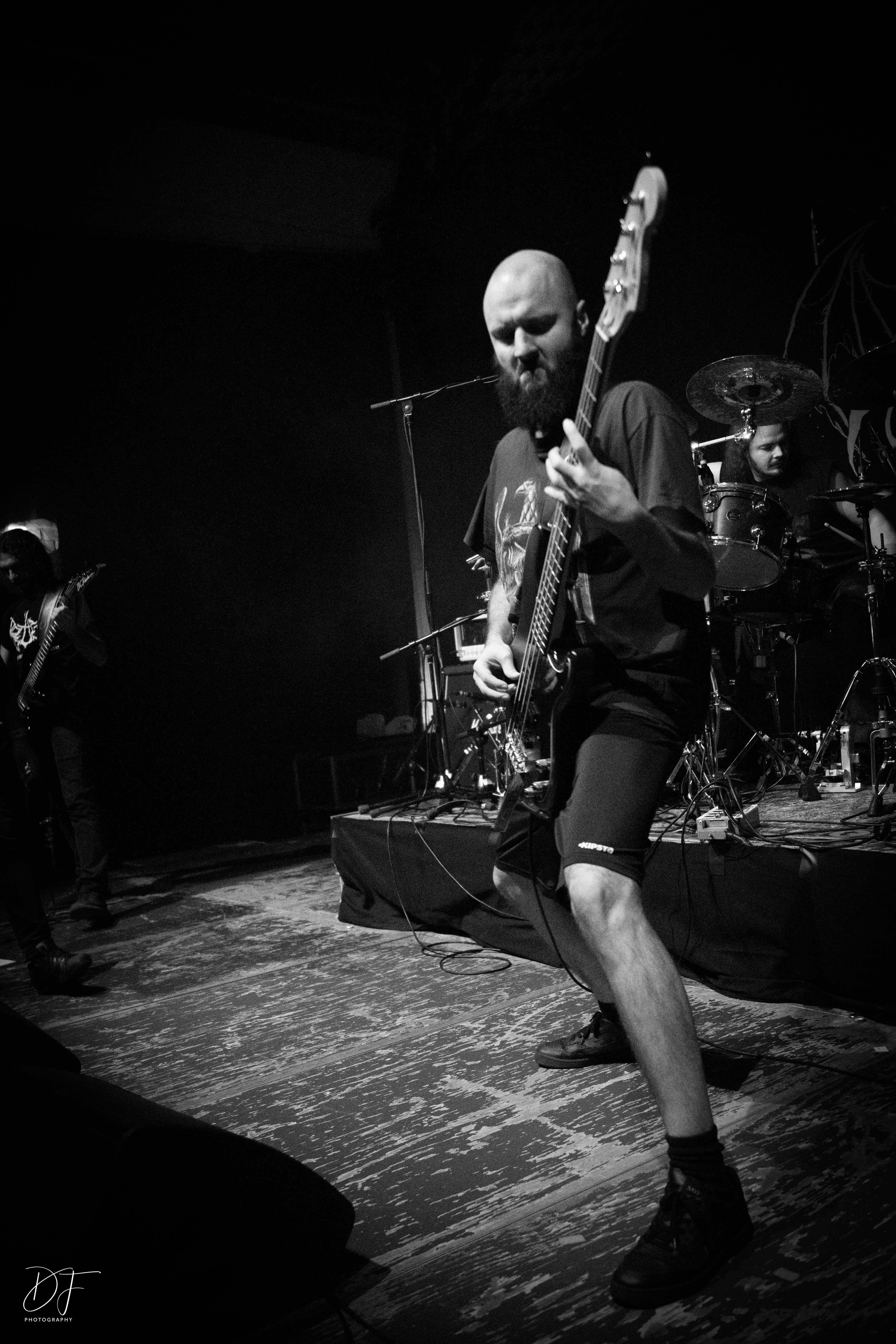 nihilo@attacknow22-3 nihilo@attacknow22-3