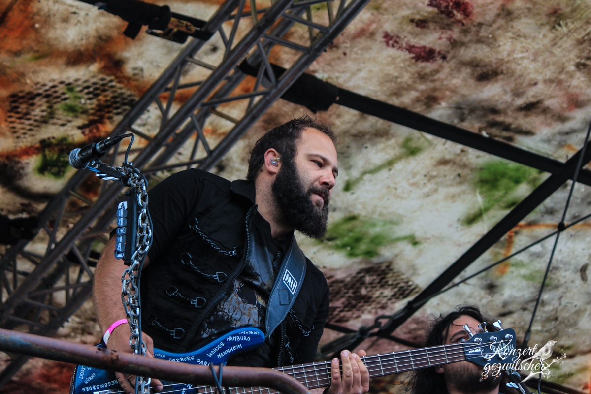 NullDB (6 von 9) NullDB (6 von 9)