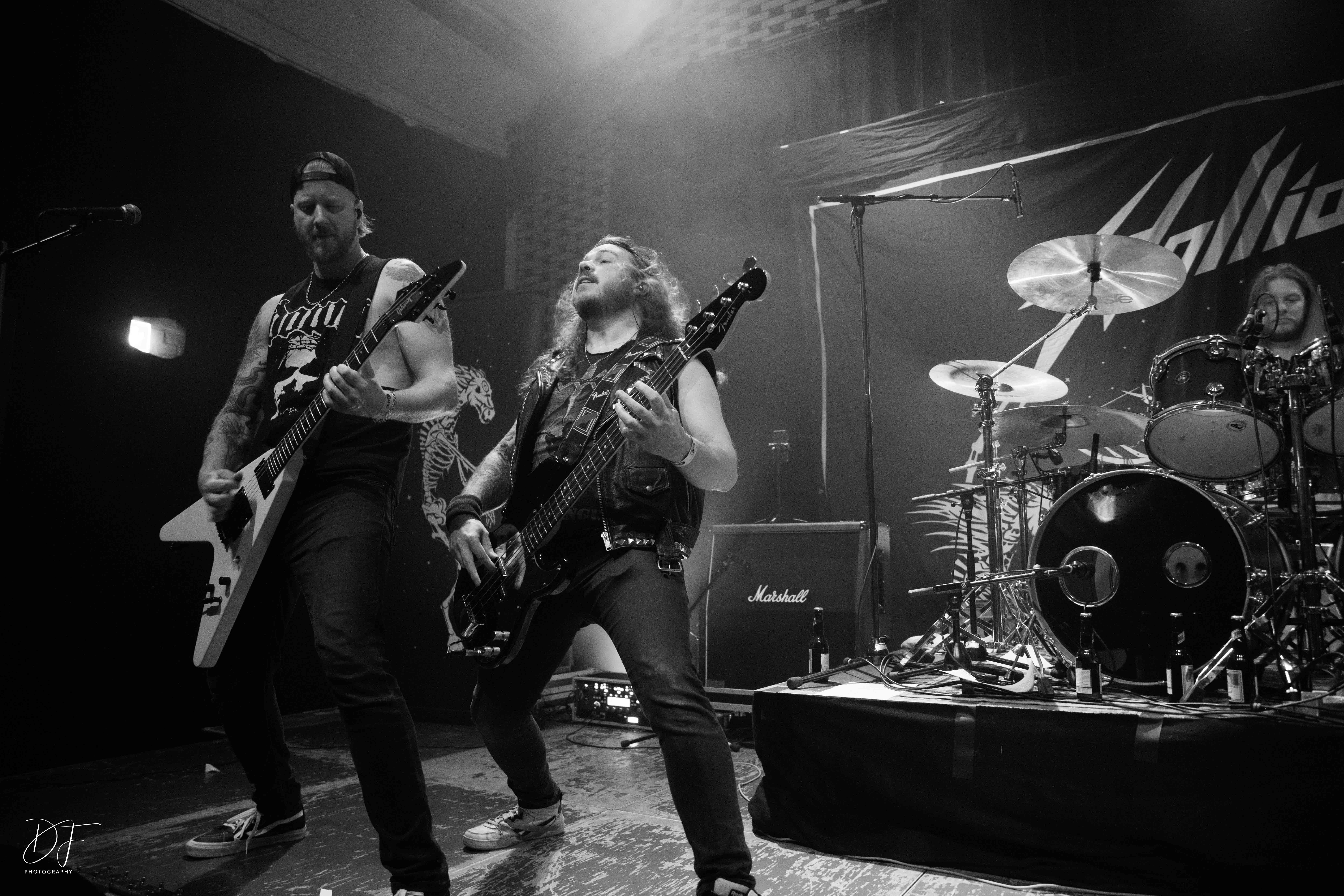 stallion@attacknow22-3 stallion@attacknow22-3