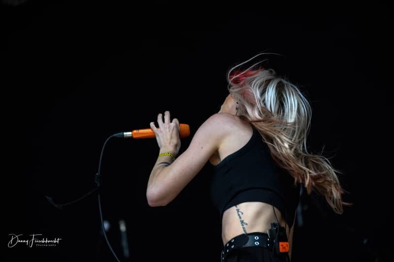 gf23-taylor-acorn-3 gf23-taylor-acorn-3