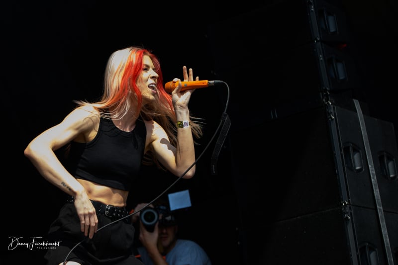 gf23-taylor-acorn-7 gf23-taylor-acorn-7