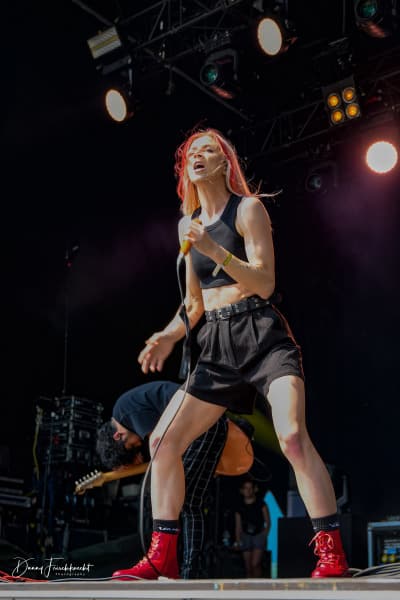 gf23-taylor-acorn gf23-taylor-acorn