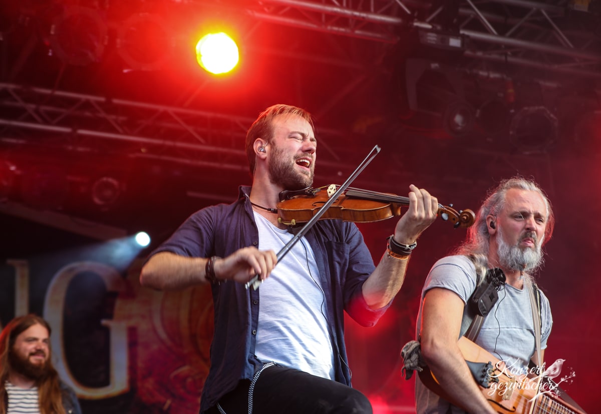 Versengold (13 von 16) Versengold (13 von 16)