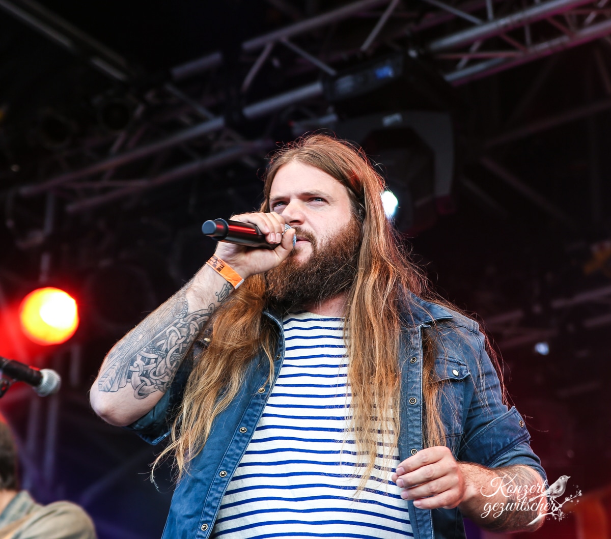 Versengold (8 von 16) Versengold (8 von 16)