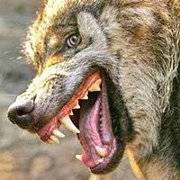 searching for friends – rockthebow on facebook