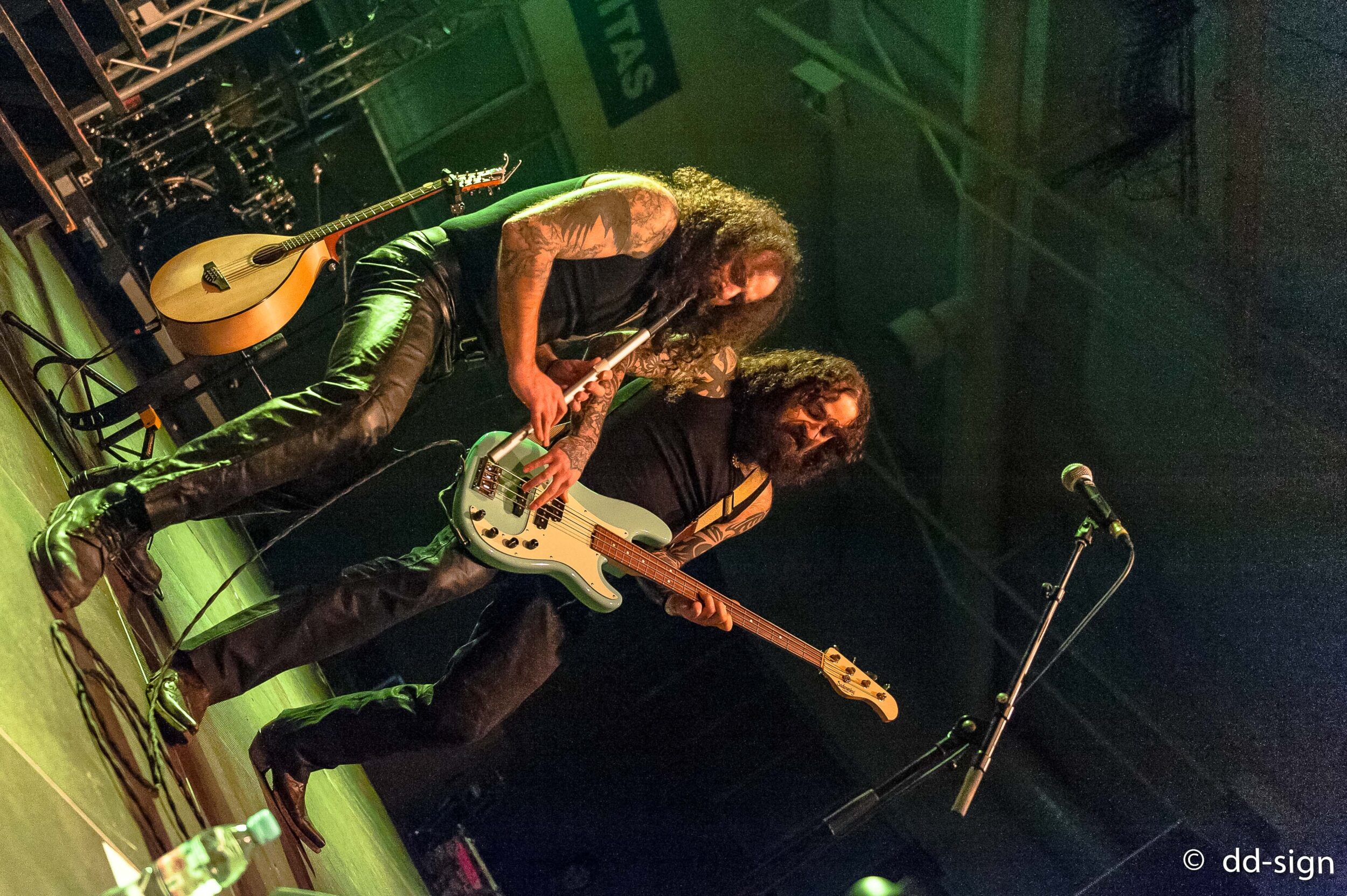 elu and friends – red shamrock