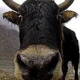 EarsplitPR: Roundup From The Compound