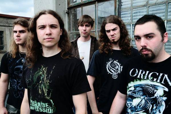 derelict signs with maple metal records