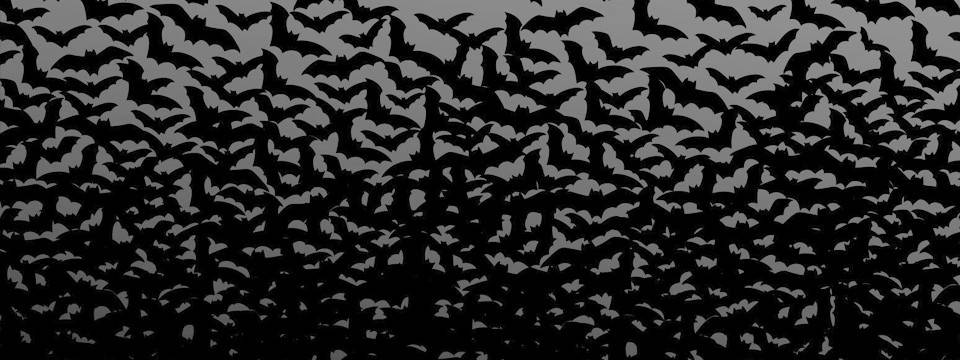 noxiris – die schwarze jahreszeit beginnt