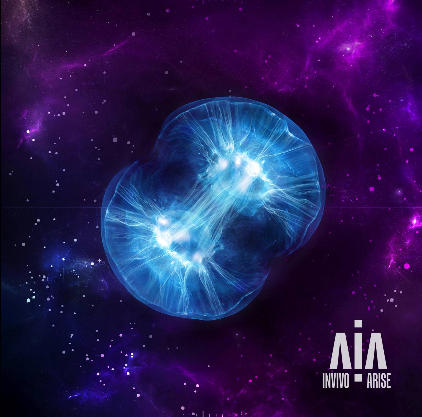 invivo – arise