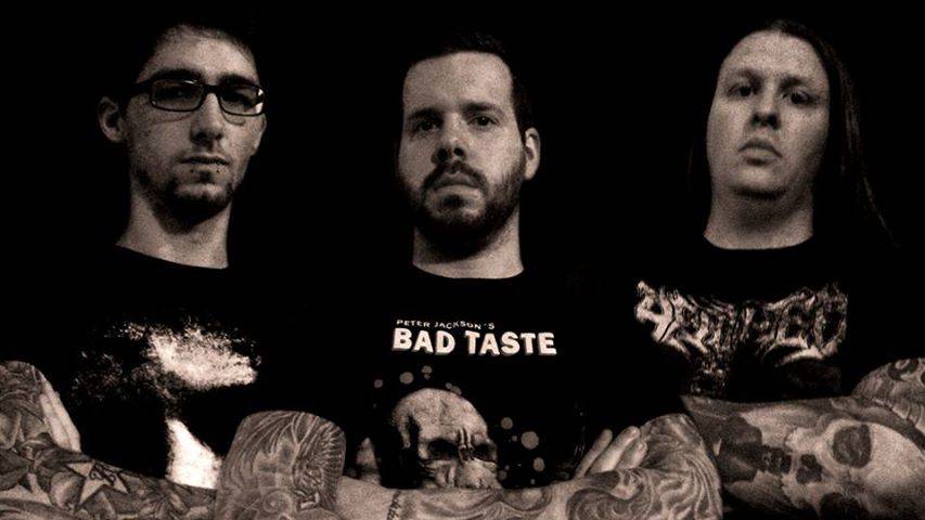 miseo – neues Video